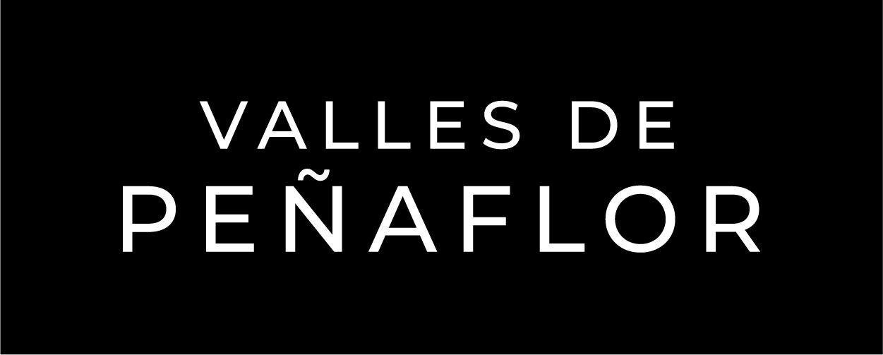 Logo Valles de Peñaflor